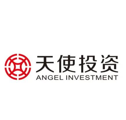 天使投資管理 早期投資的關(guān)鍵策略與風(fēng)險(xiǎn)管理